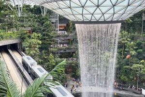 What is Special About Singapore Changi Airport?
